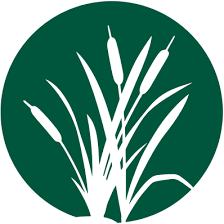 Montessori House Elementary
