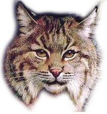 Mark Twain Elementary