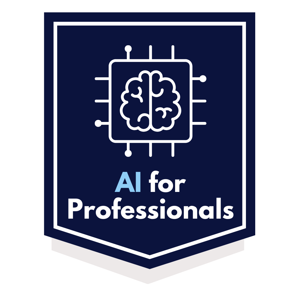 iCon for iCOde's AI For Professional Develoment Class