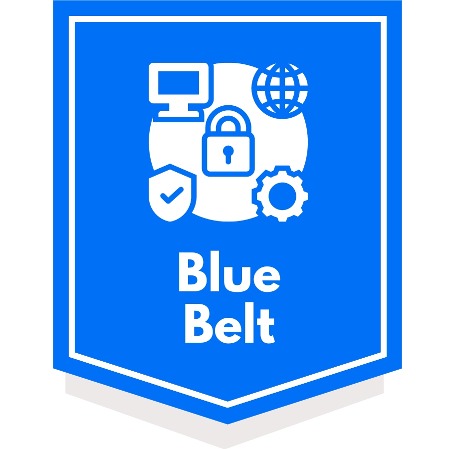 The Belt Program - iCode